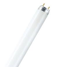 Лампа люминесцентная L 8W/640 G5 холодно-белая OSRAM 4050300008912 в Ярославле