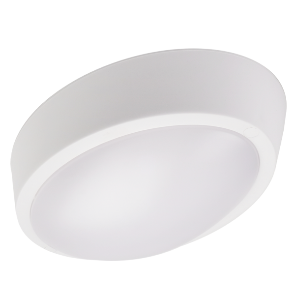 1024602A_1