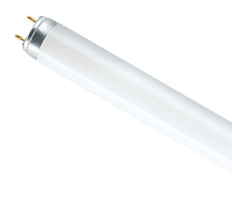 Лампа люминесцентная L 36W/840 LUMILUX смол. OSRAM 4008321581419
