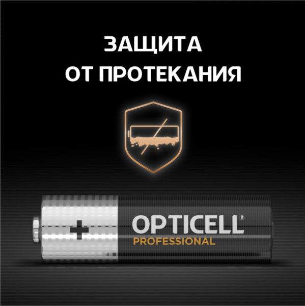 https://stat.rs24.ru/ctlg_rsz/specialty_opticell/1775451_3.jpg