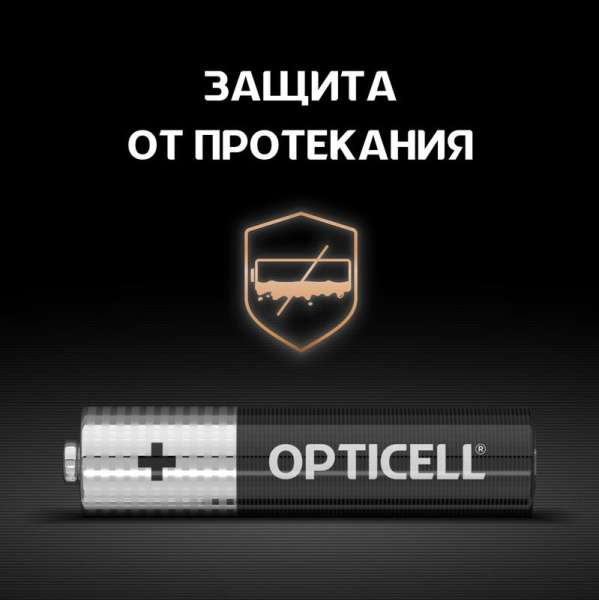 https://stat.rs24.ru/ctlg_rsz/opticell/1789755_3.jpg