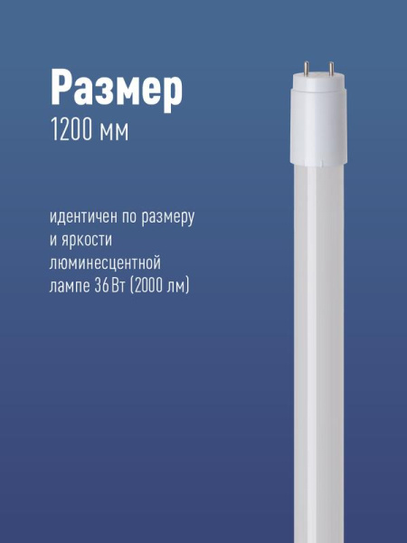 https://stat.rs24.ru/ctlg_rsz/kosmos/334899_2.jpg