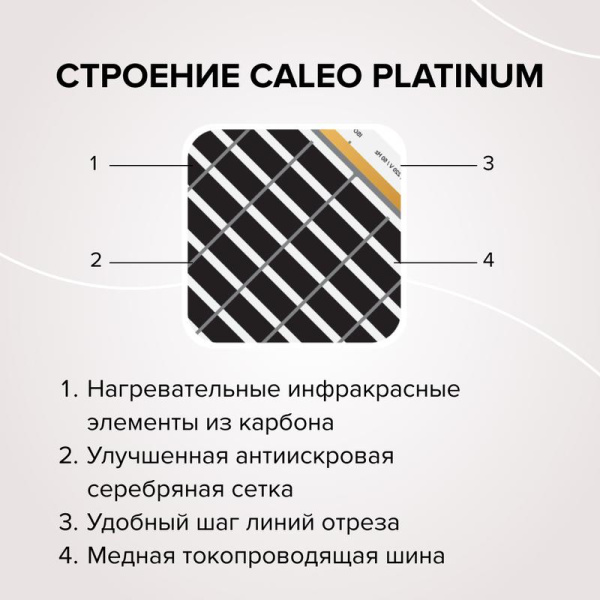 https://stat.rs24.ru/ctlg_rsz/caleo/1870218_5.jpg