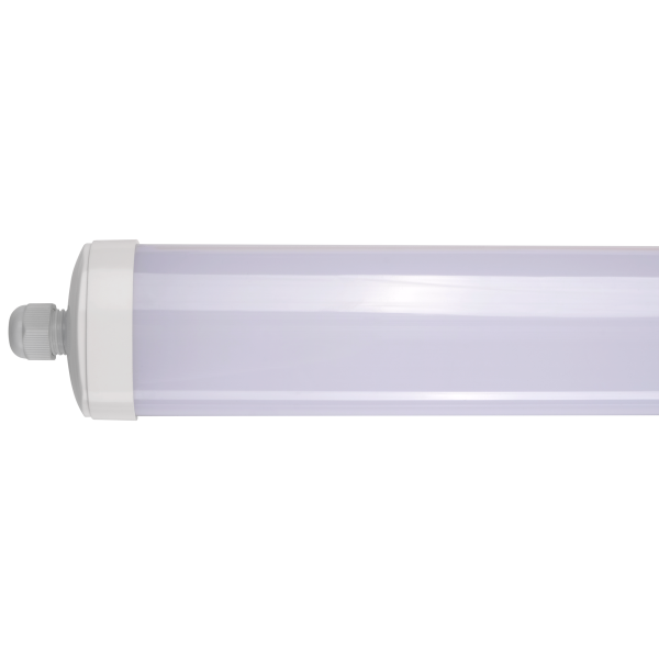 5003149A_4