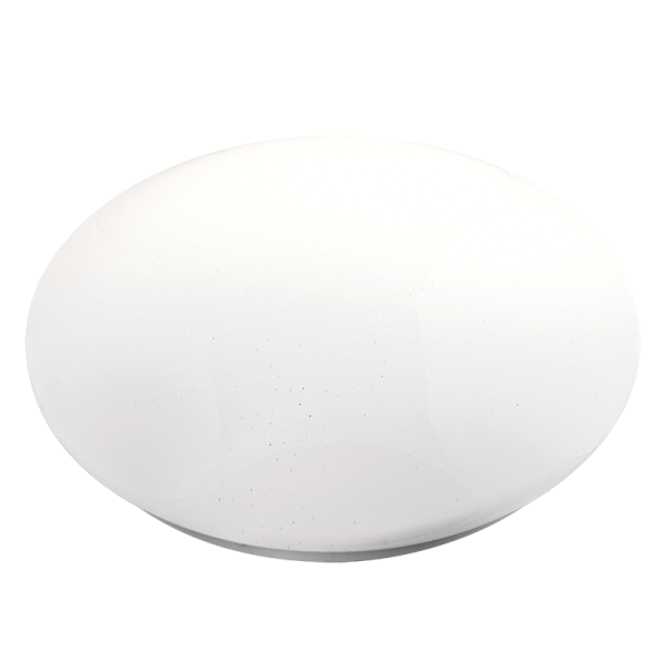 5025493_2